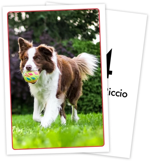cromos personalizados con las fotos de su cachorro