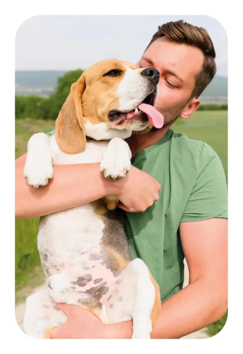 cromos personalizados con las fotos de su cachorro