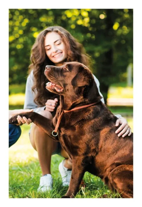 cromos personalizados con las fotos de su cachorro