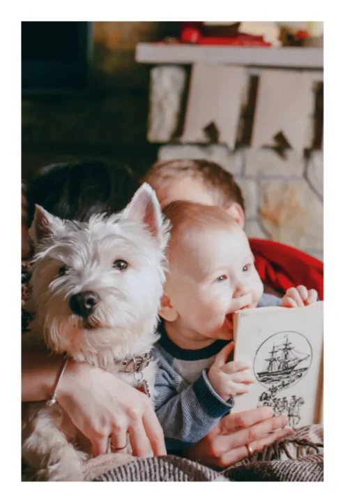 cromos de adviento personalizadas con chocolate