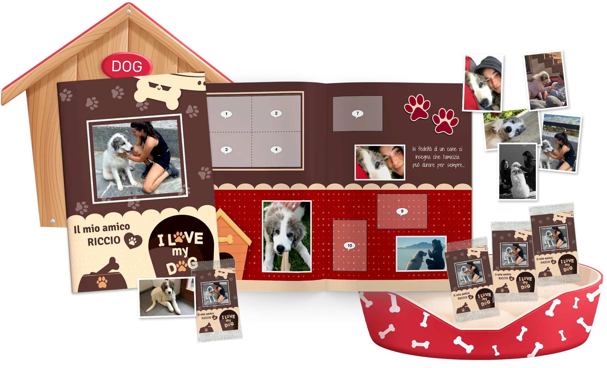 álbum de cromos personalizados de animales