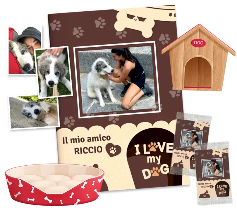 álbum de cromos personalizados de animales